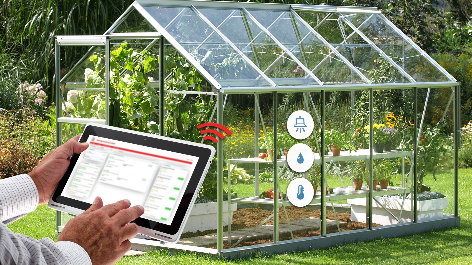 Умная теплица. Умная теплица Greenhouse. Умная теплица Мироника. Тепличный комбинат Рязань. Солнечный тепличный комбинат Рязань.